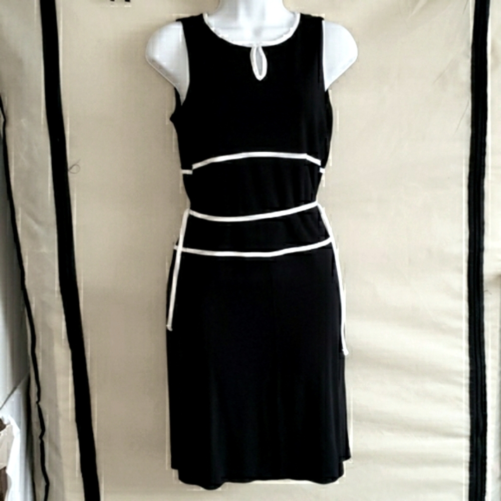 🔥FINAL PRICE🔥Petite Sophisticate sleeveless dress